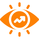 Vision